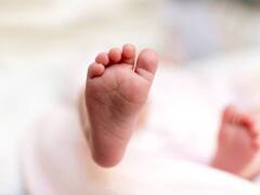 Crime : பொள்ளாச்சி டூ பாலக்காடு... கட்டைப்பையில் கடத்தப்பட்ட பச்சிளம் குழந்தை மீட்பு.. போலீசாருக்கு பாராட்டு