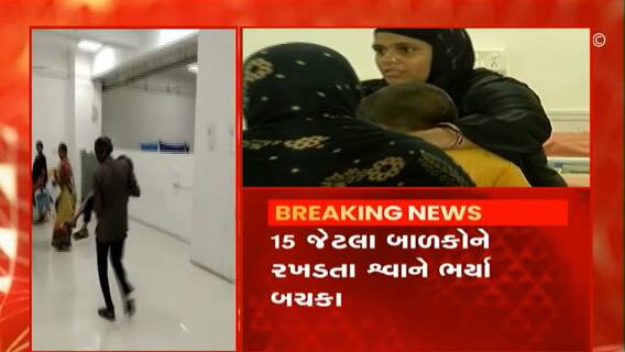 સુરતઃરખડતા શ્વાનનો જોવા મળ્યો આતંક, 15 જેટલા રખડતા શ્વાને ભર્યા બચકા