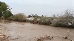 મોરબીઃહળવદ નજીક નર્મદાની કેનાલમાં ગાબડુ,આસપાસના ખેતરો બેટમાં ફેરવાયા