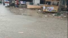 બનાસકાંઠાઃ રોડ રસ્તાઓ સહિત ખેતરો થયા તરબોળ, જુઓ વીડિયો