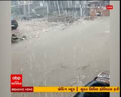 તાપીના વાલોડ તાલુકામાં ધોધમાર વરસાદ
