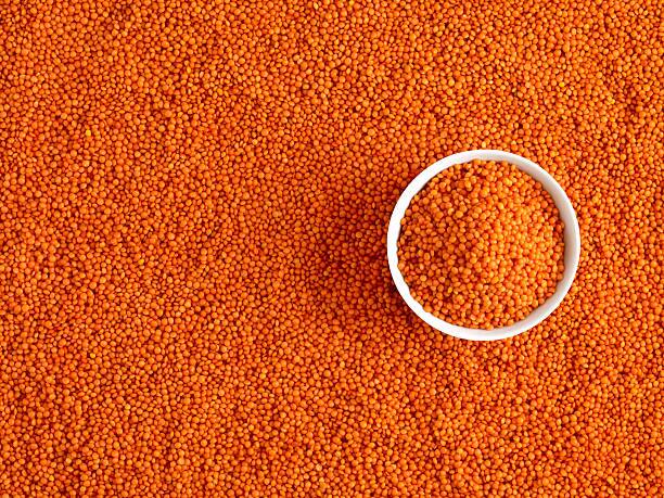 हरियाणा और पंजाब के किसानों के लिये भी मसूर की खास किस्में मौजूद हैं, जिनमें पंत एल-4, डीपीएल-15 (प्रिया), सपना, एल-4147, डीपीएल-62 (शेरी), पंत एल-406, पंत एल-639 के साथ-साथ पीएल-639, एलएल-147, एलएच-84-8, एल-4147, आईपीएल-406, एलएल-931 और पीएल 7 किस्में मिट्टी और जलवायु में फिट बैठती हैं.