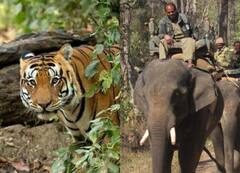 IRCTC Tour Package: जंगल सफारी के हैं शौकीन, तो IRCTC इस पैकेज से करें कान्हा नेशनल पार्क की सवारी, जानिए पूरी डिटेल