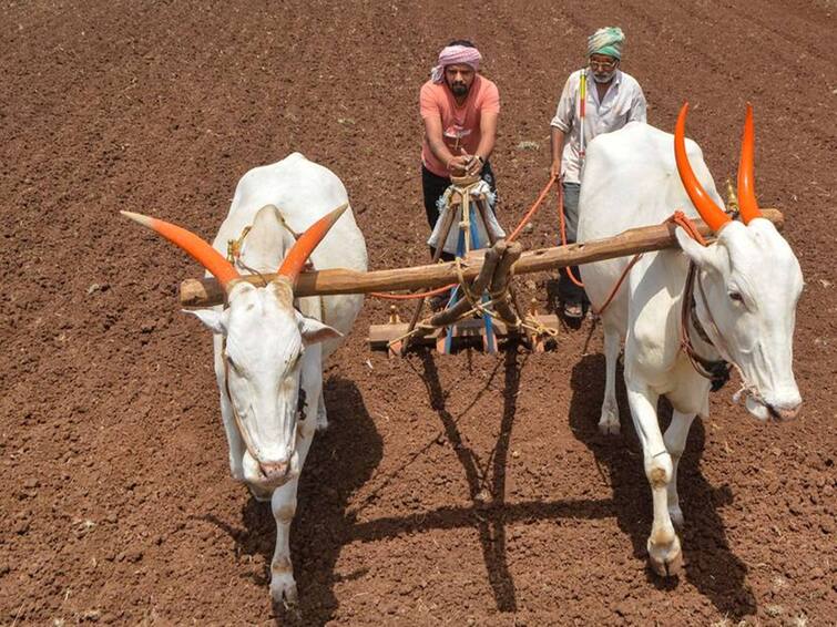 Grant of Rs. 50,000 to farmers who repay regular loans, relief to farmers by Eknath Shinde Devendra Fadnavis government नियमित कर्ज फेडणाऱ्या शेतकऱ्यांना 50 हजार रुपयांचं अनुदान, शिंदे-फडणवीस सरकारचा शेतकऱ्यांना दिलासा 