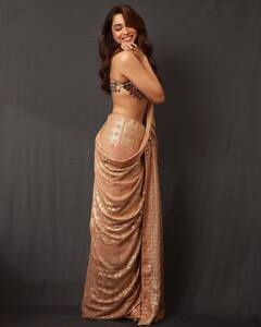 Sharvari Wagh : શર્વરીએ સાડીમાં શેર કરેલા ફોટોઝ જોઈને ચાહકો લટ્ટુ થઇ ગયા, જુઓ Photos