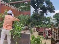 Gonda News: गोंडा में वन महोत्सव के तहत लगाए जाएंगे 56 लाख पौधे, प्रशासन की तैयारियां लगभग पूरी