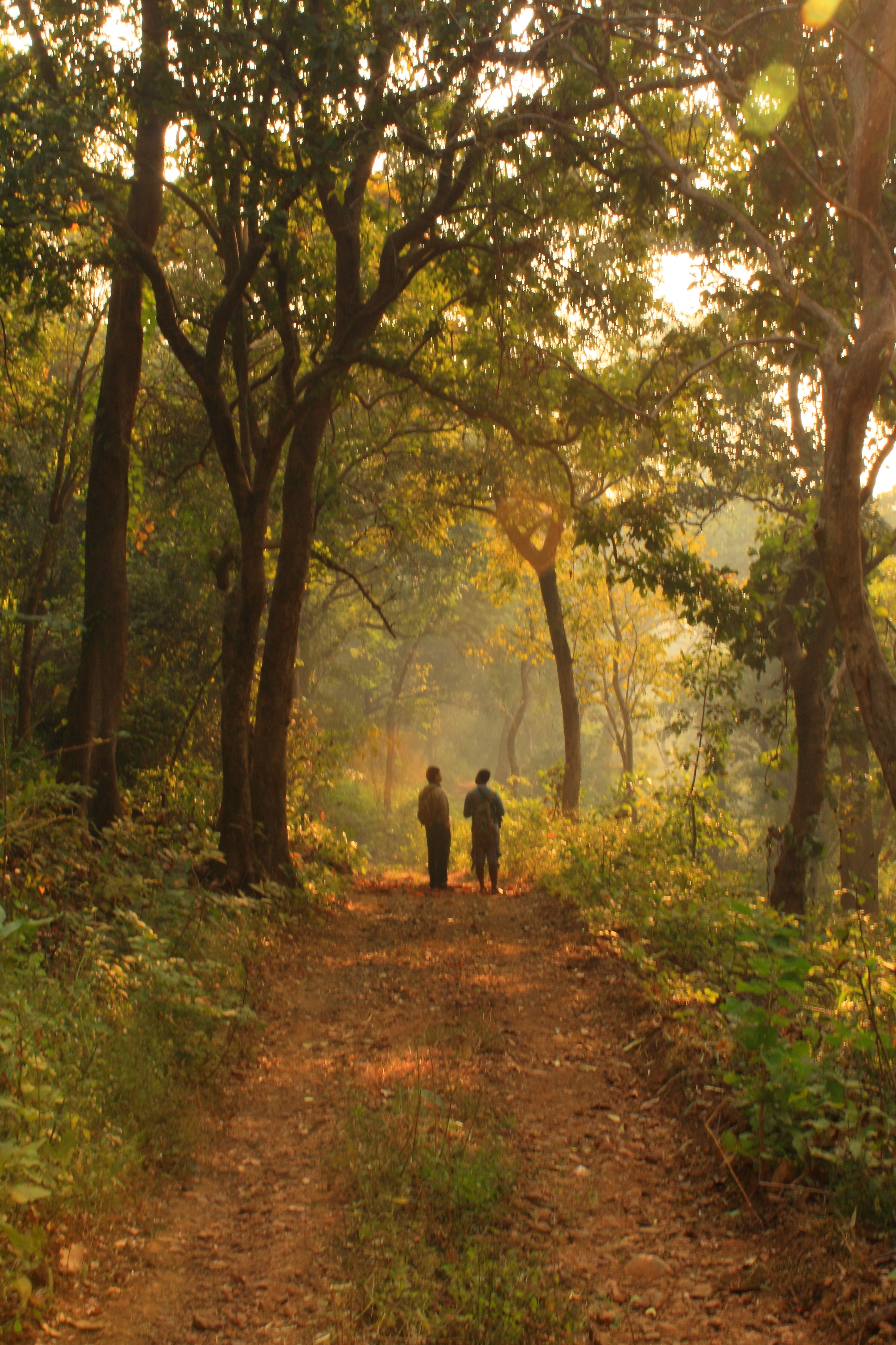 Travel : वर्षा पर्यटनासाठी मुंबईपासून हाकेच्या अंतरावर असलेले ‘बेस्ट डेस्टिनेशन’; नक्की वाचा