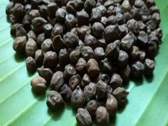 Diabetes: मधुमेहग्रस्तांना फायदेशीर आहे काळे चणे, जाणून घ्या आरोग्यदायी फायदे