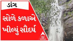 ડાંગ: આહવામાં સોળે કળાએ ખીલી ઉઠ્યું સૌદર્ય, જુઓ ધોધનો આહ્લાદક નજારો