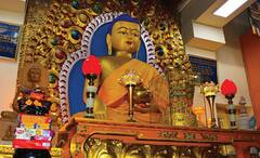 Tourist Places Of Dharamsala: धर्मशाला जाने की कर रहे हैं प्लानिंग, तो इन जगहों को जरूर करें एक्सप्लोर, यादगार बन जाएगी ट्रिप