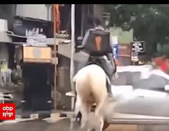 ਘੋੜੇ 'ਤੇ ਬੈਠ ਕੇ Swiggy ਦੇ Delivery Boy ਨੇ ਪਹੁੰਚਾਇਆ ਖਾਣਾ, Video ਨੇ ਇੰਟਰਨੈੱਟ 'ਤੇ ਮਚਾਈ ਤਰਥੱਲੀ