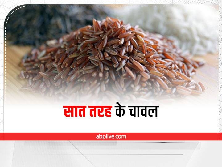 rice crop rice eating rice benefits rice for health rice food Rice Lover: चावल के शौकीन हैं तो इन 7 नामों पर जरूर डालें नजर, देखें कौन-सा है आपका पसंदीदा राइस