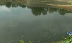 Ahmedabad: વસ્ત્રાલ વિસ્તારમાં કેમિકલ માફીયાઓ બેફામ, તળાવમાં કેમિકલના કારણે માછલીઓના મોત