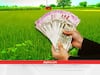 Farmers Income: इन फसलों में किसानों को हुई बंपर कमाई, कमा लिए हजारों करोड़, कुछ फसलों की बिक्री में हुए मायूस