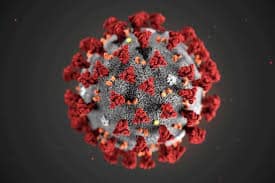 SARS CoV2 Scientists develop new mechanism to inactivate COVID19 virus block entry into cells know full details SARS-CoV-2: वैज्ञानिकों को मिली बड़ी कामयाबी, अब कोरोना वायरस पर पाया जा सकेगा काबू! पढ़िए क्या है नई स्टडी