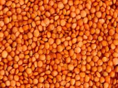 Best Masoor Varieties: मसूर की खेती से मालामाल होंगे किसान, जानें किस राज्य की मिट्टी में कौन-सी मसूर उगायें