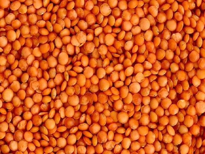 उत्तर भारत में मसूर की खेती के लिये पीएल-639, मलिका (K-75), एनडीएल-2, डीपीएल-62, आईपीएल-81, आईपीएल-316, एल-4076, एचयूएल-57, डीपीएल-15 आदि किस्में मिट्टी और जलवायु के अनुरूप बेहतर उत्पादन देती हैं. इनकी बुवाई से पहले ठीक प्रकार बीजोपचार और खेत में जल निकासी का प्रबंधन कर लेना चाहिये.