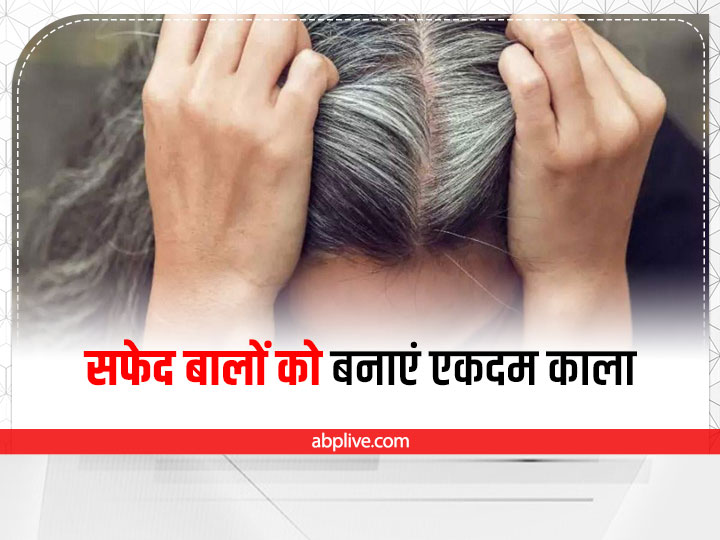 Kalonji Good For Grey Hair Black Seed Reverse Grey Hair Kalonji Make Hair Black Naturally | Hair Care: सफेद बालों को सिर्फ 1 महीने में काला बना देगा या नुस्खा, जरूर अपनाएं Kalonji Good For Grey Hair Black Seed Reverse Grey Hair Kalonji Make Hair Black Naturally | Hair Care: सफेद बालों को सिर्फ 1 महीने में काला बना देगा या नुस्खा, जरूर अपनाएं