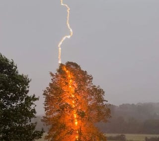 Sky Lightning: ઝાડ ઉપર પડી આકાશીય વીજળી, કેમેરામાં કેદ થયો અદ્ભૂત નજારો...