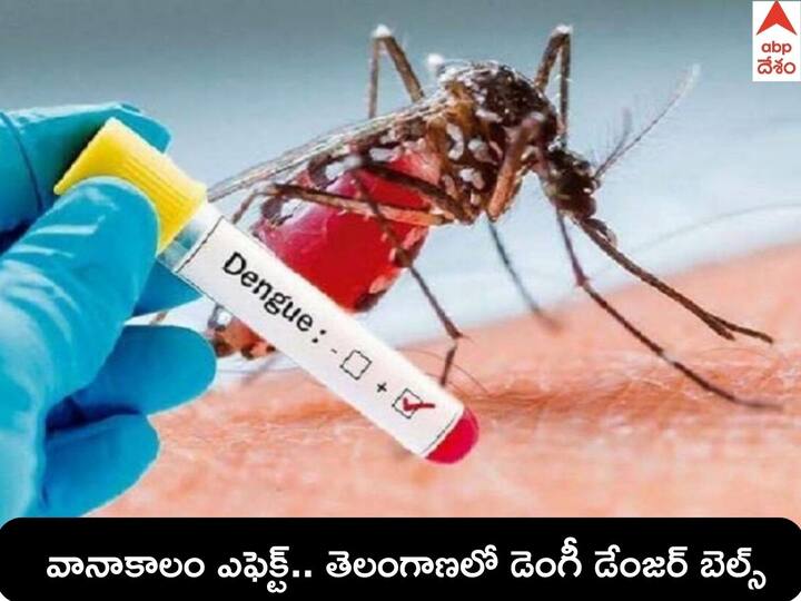 Karimnagar Dengue Cases raise in Karimnagar District Telangana DNN Dengue Cases In Telangana: ఆ జిల్లాలో డెంగీ డేంజర్ బెల్స్, వర్షాకాలంలో ఈ జాగ్రత్తలు పాటిస్తే ఏ సమస్య ఉండదు
