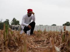 Fasal Bima Yojana: अगर बारिश से आपकी फसल हुई है खराब, तो ऐसे कर सकते है बीमा के लिए क्‍लेम