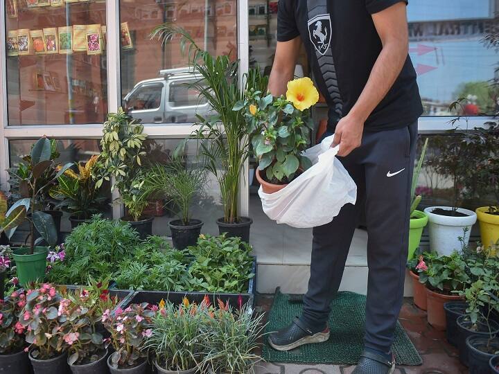 Plastic Ban in Delhi: दिल्ली में सिंगल यूज़ प्लास्टिक के खिलाफ चला अभियान, 1165 किलो प्लास्टिक का सामान जब्त Plastic Ban in Delhi Challans started deducting those who used plastic bags in Delhi Plastic Ban in Delhi: दिल्ली में सिंगल यूज़ प्लास्टिक के खिलाफ चला अभियान, 1165 किलो प्लास्टिक का सामान जब्त