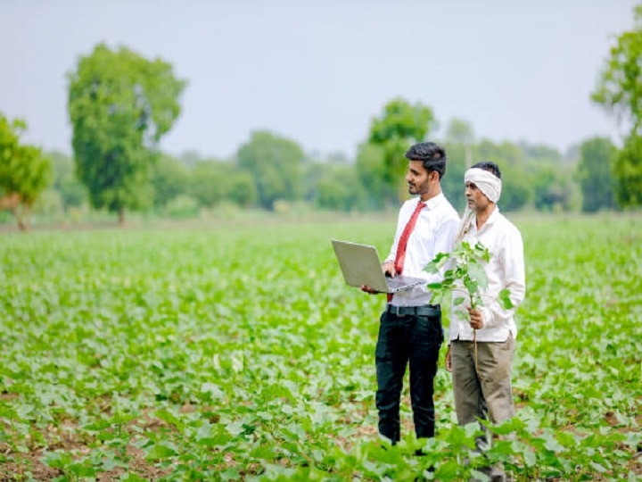 Kharif Crop: खरीफ सीजन की फसलों में कैसे करें खरपतवार प्रबंधन, यहां जानें सही तरीका