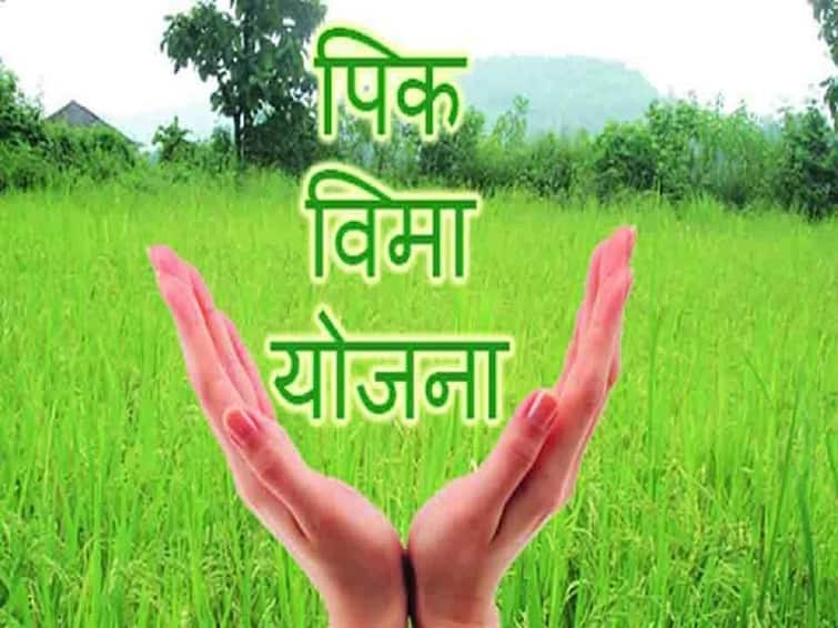 kharif season news Appeal to farmers to participate in Pradhan Mantri Fasal Bima Yojana till July 31 kharif season: प्रधानमंत्री पीक विमा योजनेत 31 जुलैपर्यंत सहभागी होण्याचं शेतकऱ्यांना  आवाहन