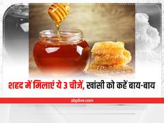 Remedies For Cough: खांसी को दूर भगाना है तो शहद में मिलाकर खाएं ये 3 चीजें, तुरंत मिलेगा आराम