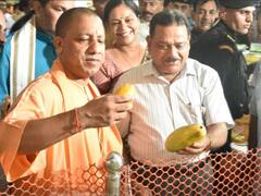 Lucknow Mango Festival: आम महोत्सव में सीएम योगी का बड़ा एलान, अब 'काकोरी ब्रांड' के नाम से जाना जाएगा लखनऊ का आम