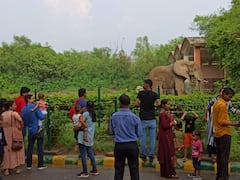 Delhi Zoo: दिल्ली के चिड़ियाघर में बढ़ाई गई पर्यटकों की संख्या, मॉनसून में वन्यजीवों को देखने के लिए लगी भीड़, देखें तस्वीरें