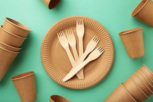 বায়োডিগ্রেডেবল চামচ-কাঁটা চামচ: প্লাস্টিক মুক্ত পরিবেশের দিকে পা বাড়ানোর প্রথম সঙ্গী করতে পারেন বায়োডিগ্রেডেবল কাটলারিকে।