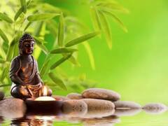 Feng Shui Tips :  दृष्ट लागू नये म्हणून करा 'हे' उपाय 