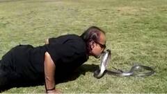 ਇਸ ਬੰਦੇ ਦੀ ਸੱਪਾਂ ਨਾਲ ਯਾਰੀ! ਹੁਣ ਤੱਕ 10 ਹਜ਼ਾਰ ਤੋਂ ਵੱਧ ਸੱਪ ਫੜ ਚੁੱਕੇ ਜਨਾਬ