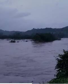 राज्यात विविध ठिकाणी मुसळधार पाऊस