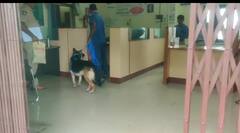 Nizamabad News: మాస్క్‌ ఒక్కటే క్లూ- పోలీసులకు సవాల్‌గా నిజామాబాద్‌ బ్యాంక్‌ దోపిడీ కేసు