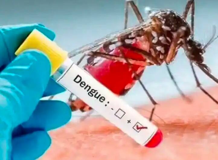 Kolkata News: Salt Lake including Kolkata reported 128 cases of dengue  within a week Kolkata Dengue Update: कोलकता सहित सॉल्ट लेक में डेंगू का कहर,  एक हफ्ते के अंदर सामने आए 128 मामले, KMC ने उठाया ये सख्त कदम