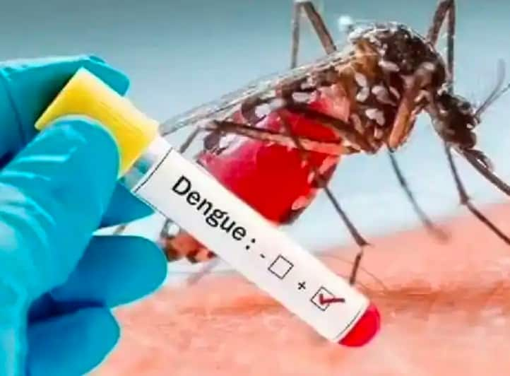 Patna Dengue Update, 68 new patients found in last 24 hours, Know Symptoms and how to cure from dengue Patna Dengue Update: पटना में हर दिन बढ़ रहे डेंगू के मामले, जानिए- लक्षण और बचाव के उपाय