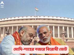 Pasmanda Muslims: বিরোধী ভোটে ভাগ বসানোই লক্ষ্য, ২০২৪-এ অনগ্রসর মুসলিম ভোটে নজর বিজেপি-র! জাতীয় কর্মসমিতির বৈঠকে সিদ্ধান্ত