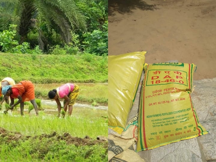 Bastar News Farmers upset due to shortage of fertilizers in Shopkeepers charging more prices from farmers Chhattisgarh ANN Bastar News: सरकारी समितियों में खाद की किल्लत, किसानों से मनमानी कीमत वसूल रहे दुकानदार