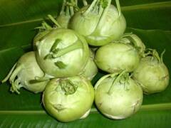 Turnip: நூக்கல் பிடிக்காதா? தப்பு... நூக்கல் உணவுல சேர்த்தா இந்த அற்புதங்கள் நடக்கும்..!