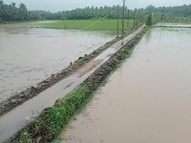 Gujarat Rain: In last 24 hours 30 districts gets rain fall Gujarat Rain: રાજ્યમાં જામ્યો વરસાદી માહોલ, જાણો છેલ્લા 24 કલાકના આંકડા