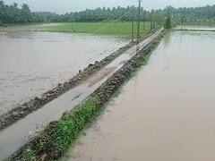Gujarat Rain: રાજ્યમાં જામ્યો વરસાદી માહોલ, જાણો છેલ્લા 24 કલાકના આંકડા