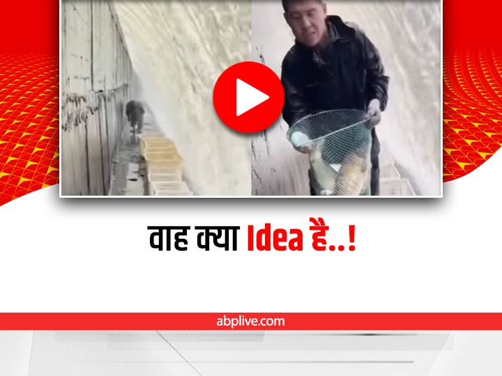 Unique way of fishing from dam video viral on social media Viral: मछली पकड़ने के लिए निकाली गजब तरकीब, वीडियो देख आप भी हो जाएंगे हैरान