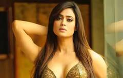 ટીવીની જાણીતી અભિનેત્રીઓ Big Bossનું ટાઈટલ જીત્યા બાદ નાના પડદા પરથી થઈ ગઈ ગાયબ...