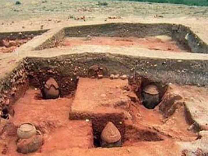 Adichanallur Excavation Archaeological Discovery Ancient Peoples Bones Discovered Adichanallur Excavation: ஆதிச்சநல்லூர் அகழாய்வு:  முதுமக்கள் தாழியில் மனிதனின் தலை, பல், கை, கால், முதுகு எலும்புகள் கண்டுபிடிப்பு
