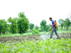 Kharif Crop: खरीफ सीजन की फसलों में कैसे करें खरपतवार प्रबंधन, यहां जानें सही तरीका