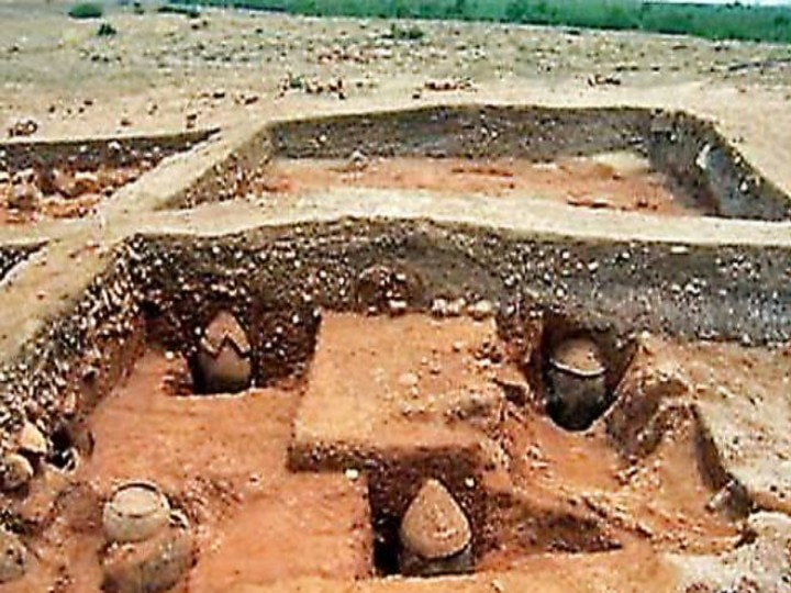 Adichanallur Excavation: ஆதிச்சநல்லூர் அகழாய்வு:  முதுமக்கள் தாழியில் மனிதனின் தலை, பல், கை, கால், முதுகு எலும்புகள் கண்டுபிடிப்பு