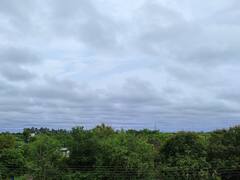 Chhattisgarh Weather Update: छत्तीसगढ़ के 4 संभागों के लिए अलर्ट जारी, इन जिलों में भारी बारिश की आशंका