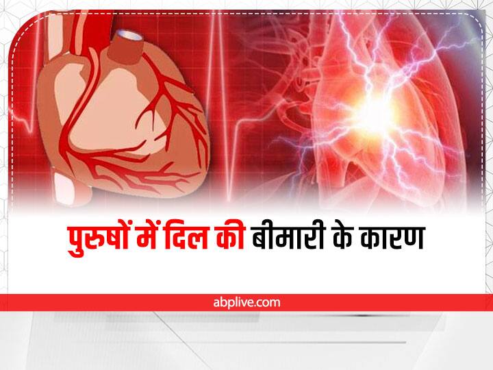 Heart Attack Cause In Males Heart Attack Symptoms Male How To Prevent Heart Attack Heart Health: पुरुषों को क्यों है दिल की बीमारी का ज्यादा खतरा, जानिए क्या हैं कारण